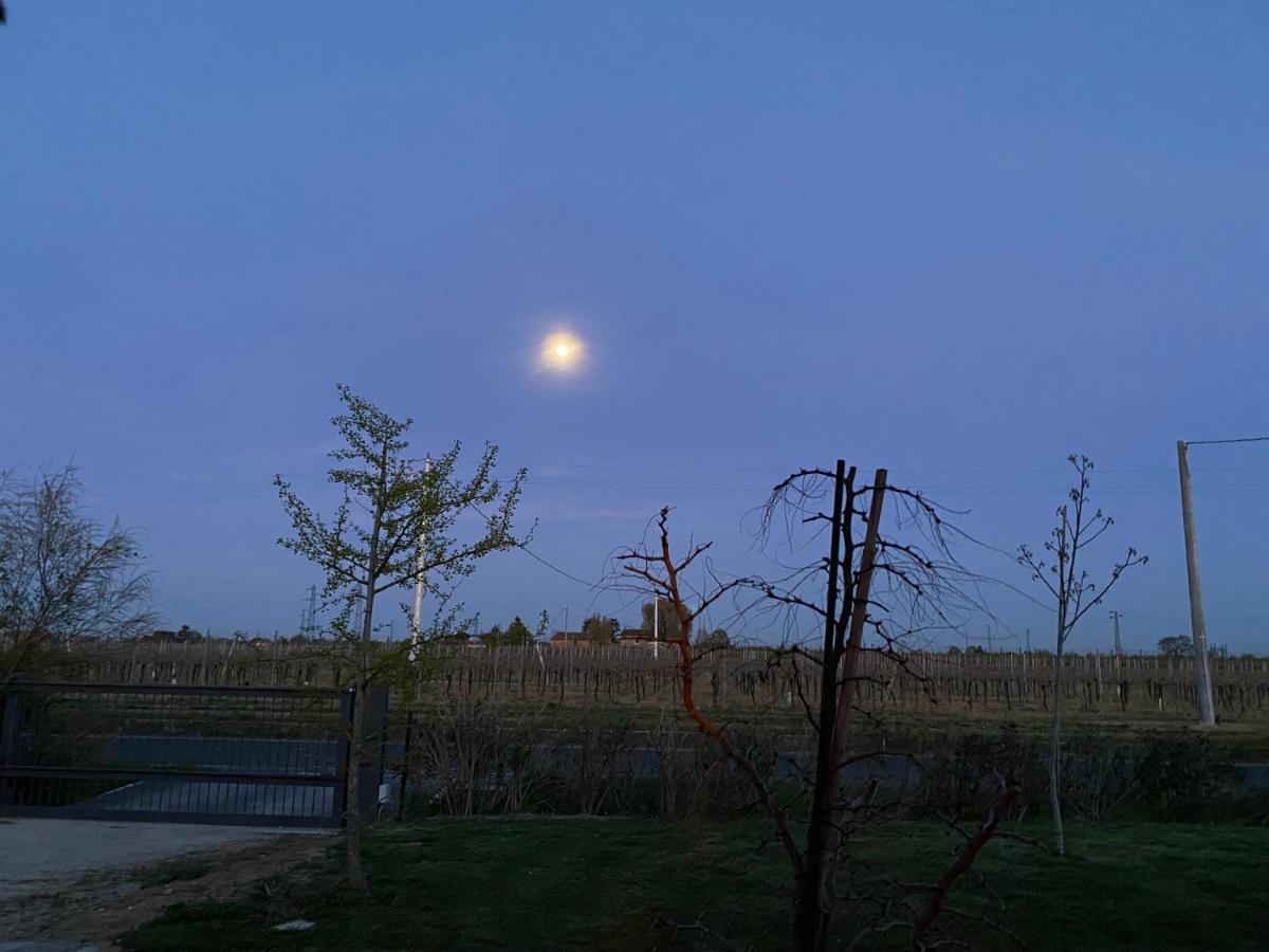 Sotto La Luna Casa In Campagna Castel Bolognese Exterior photo